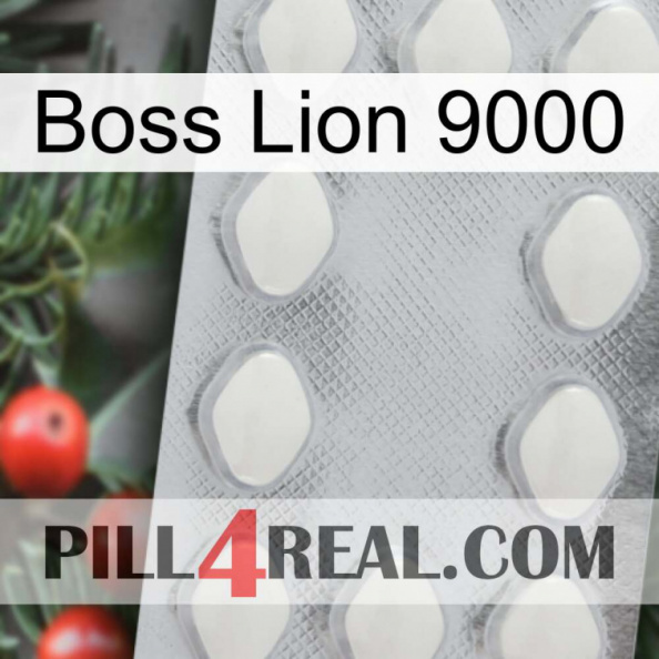 Boss Lion 9000 16.jpg